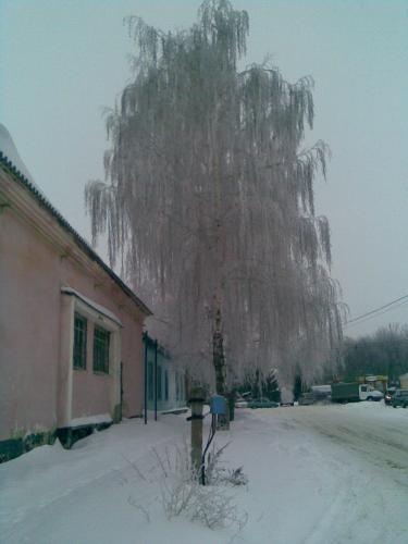 ������ ������