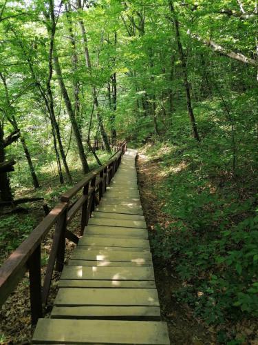 ������ � ������