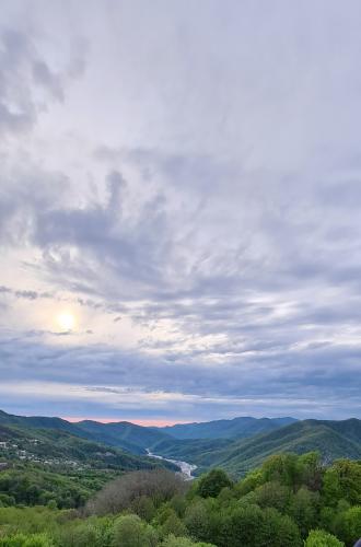 �������� �����