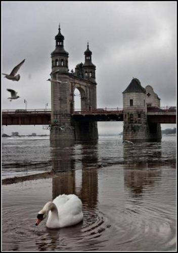 ���� �������� �����