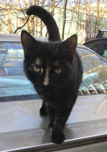 �� ������