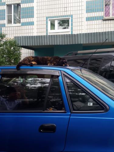 �� ������