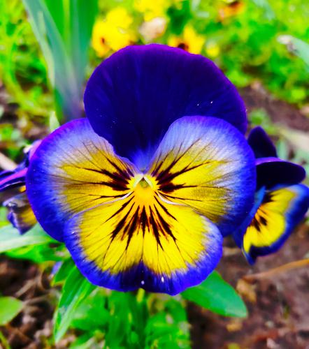 �������� ������