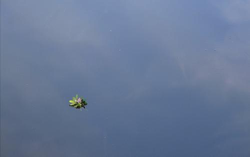 1624383025