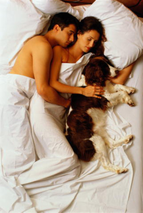 Муж с собакой рассказы. Мужчина женщина и собака. Девушка с собакой в кровати. Парень девушка и собака.