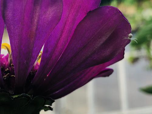 ��������� �����