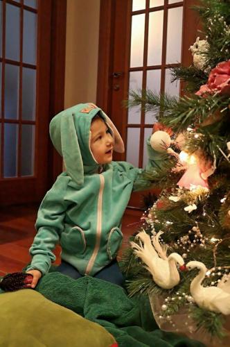 ������� �������