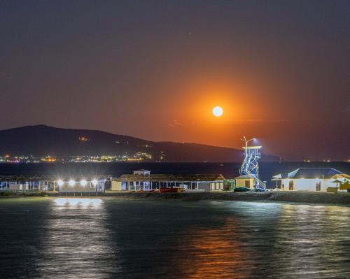 ������ ����������