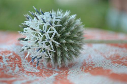 ������� �����