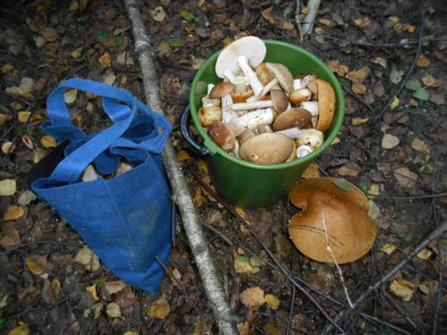 ��������� ���