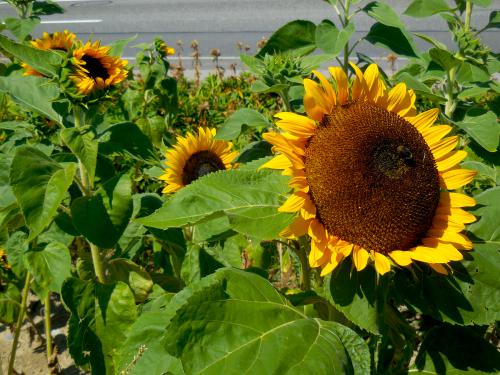 ����������