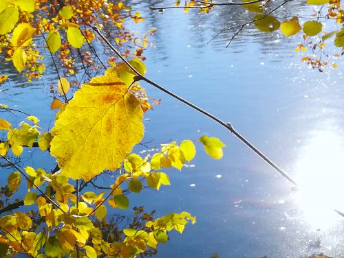 ��������� ���� � ����