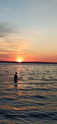 �� ������ ��������� ����