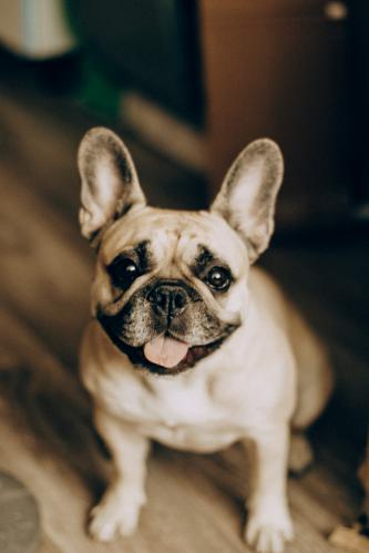 ����� ������ ���� �� �����