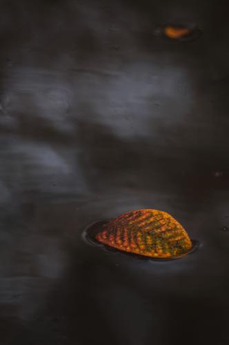 1633544129