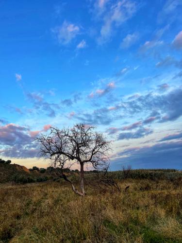 ���� �����