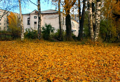 ������� ���������