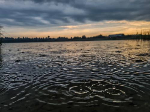 ������������ �����