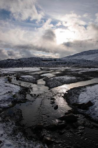 ���� �� �������