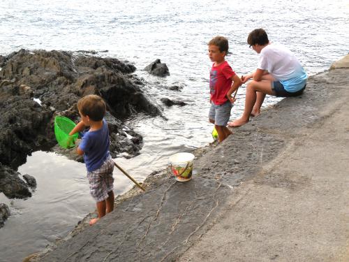 ������ �� �������