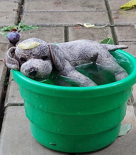 ������� ����������