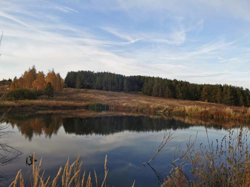 �� �������