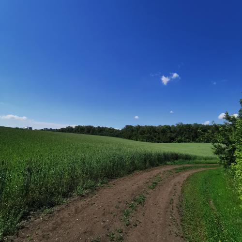 Windows XP