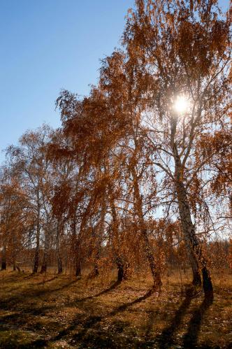 Un peu de soleil dans leau froide