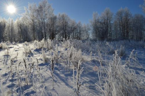 ����� ������ �����