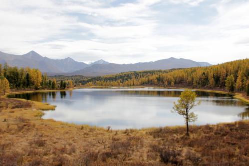 ����� ������