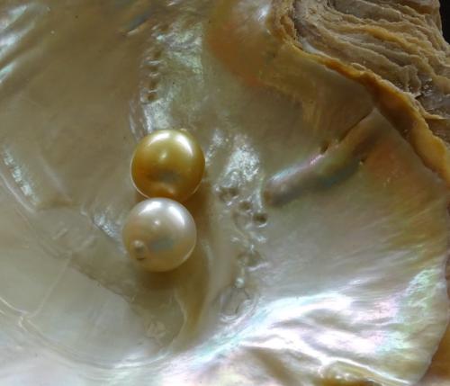 ������������