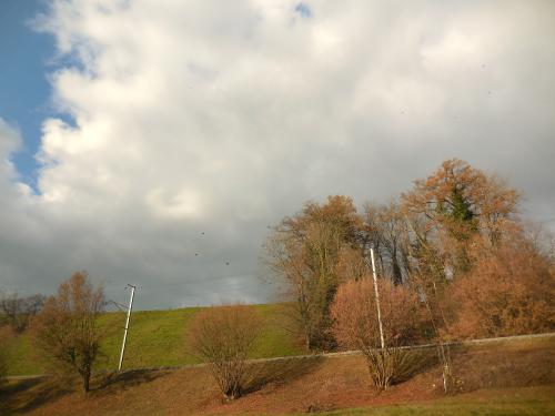 �� ���� ������ ������