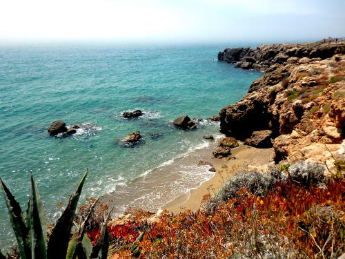 ���� ���� ��� ���������