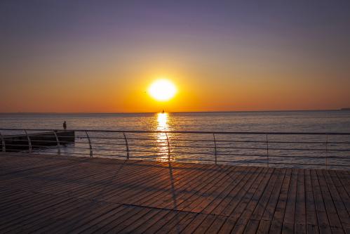 ׸���� ���� �� �������� 