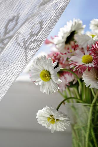 �������� �����