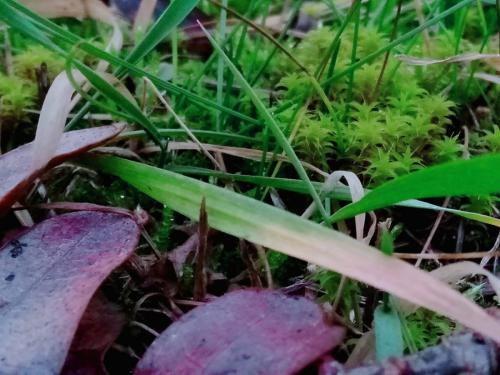 ������� � ������� 