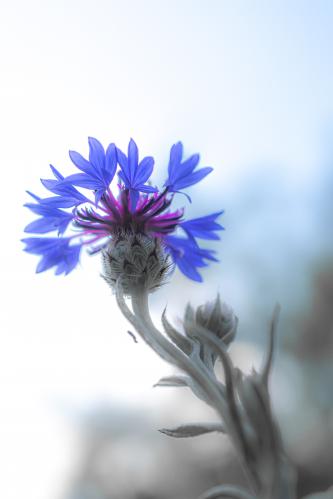 ��������� ������