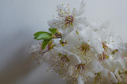 ��������� �����