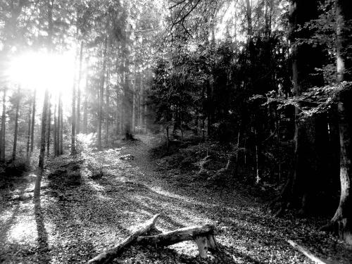 ������� ��� ����������� �������