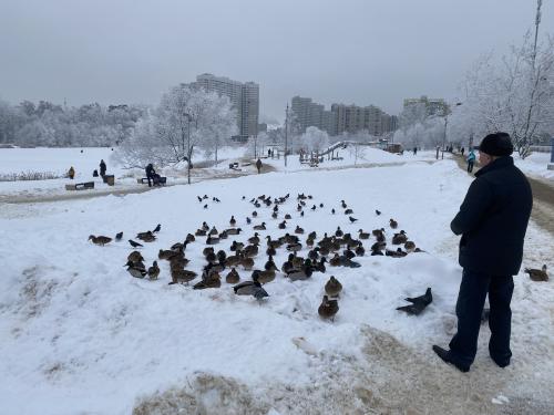 ���� ���������