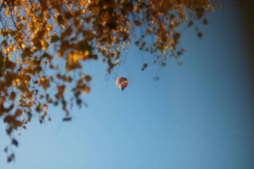 ������� ������