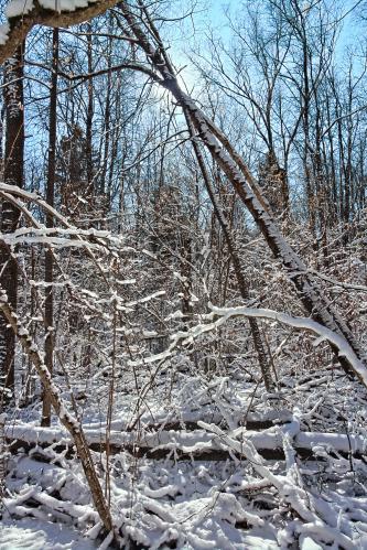 ����� � ������