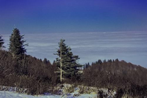 ������� ����� ���� 8