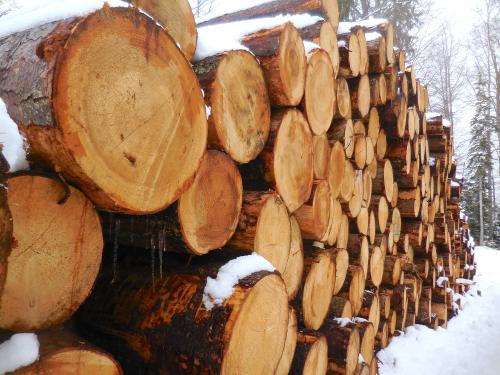 �� ����� �����