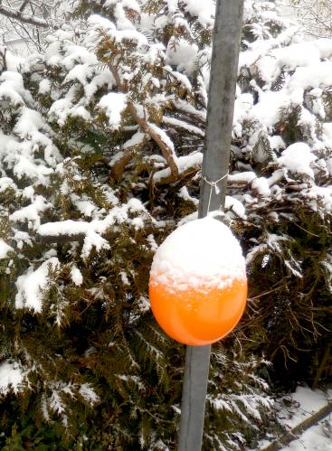 �� ���� �� ����� ��������