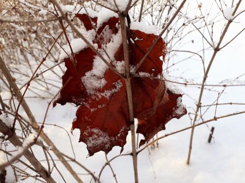 ���������� � ������