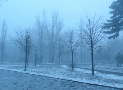 Winter mist