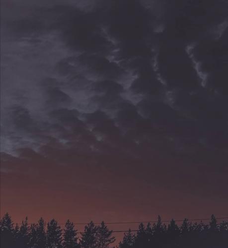 ���� ���������� �� ������ ���� 