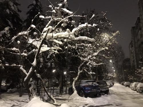 ��������� ����