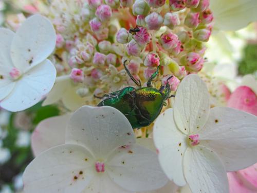 ���������� ��������� � ����������